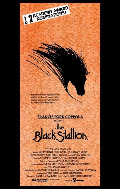 The Black Stallion Movie Poster Print (11 x 17) - Item # MOVED7919 ...