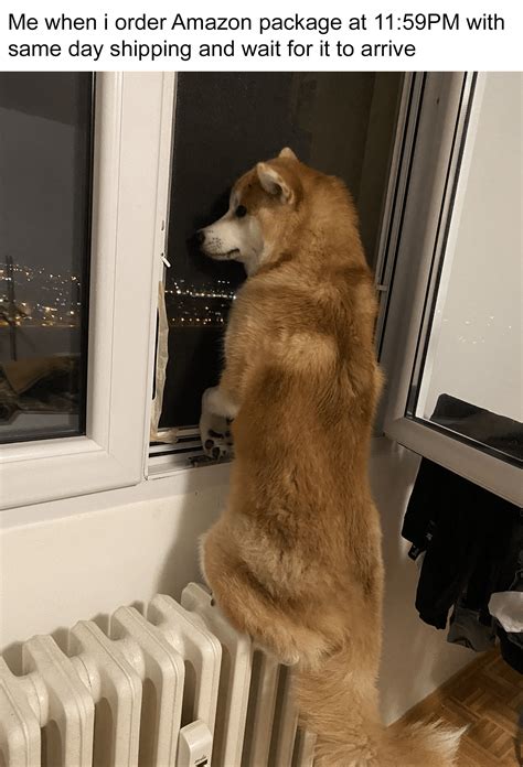 fuck amazon : r/Aryssa614