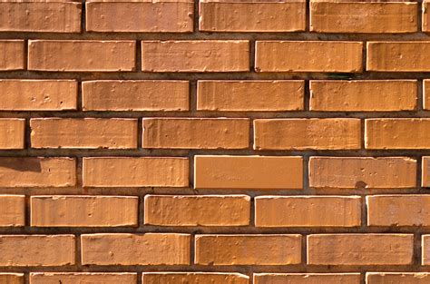 Bricks