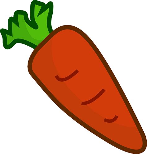 carrot vegetable plant  vector graphic  pixabay