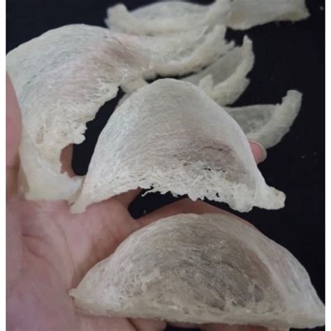 jual sarang walet mangkok shopee indonesia