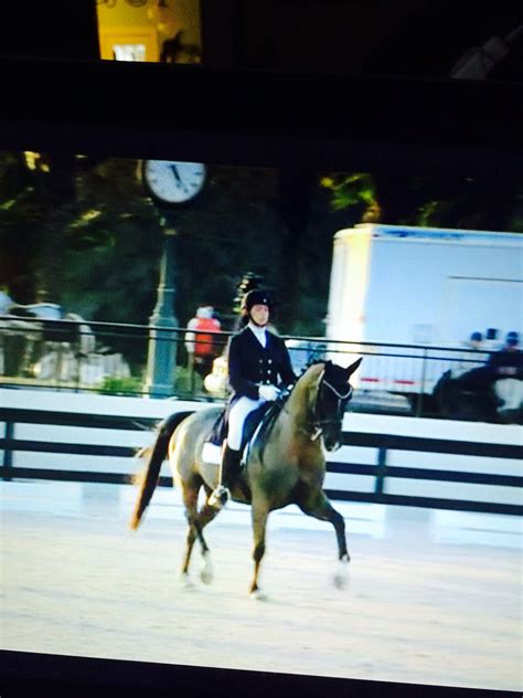 Anna Marek. | Horses, Dressage, Animals