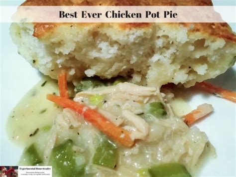 Best Ever Chicken Pot Pie - Experimental Homesteader