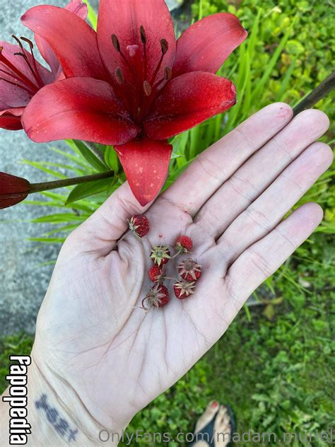 Madam.muriel Nude OnlyFans Leaks - Photo #3515776 - Fapopedia