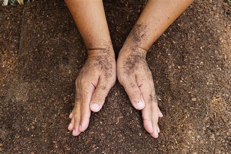 Farmers mix the soil to grow crops. provide the minerals that plants