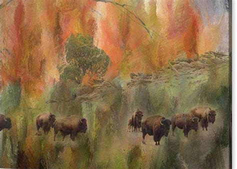 Bison Herd Watching Fine Art Print – Colorado Nature Landscape Art Prints For Sale