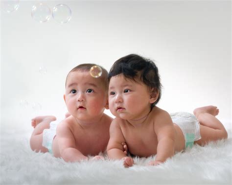 twins studio genyo