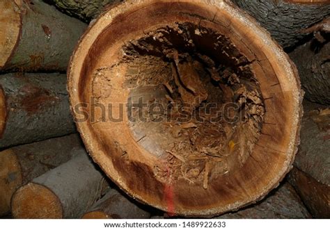 wood rotted heart images stock  vectors shutterstock