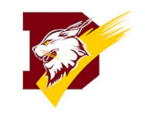 Dimond High School Cheer 2020-2021