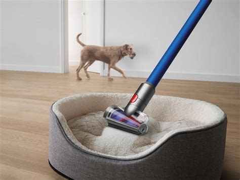 Which Dyson Stick Vacuum is Best for Pet Hair? | Best safe household cleaners