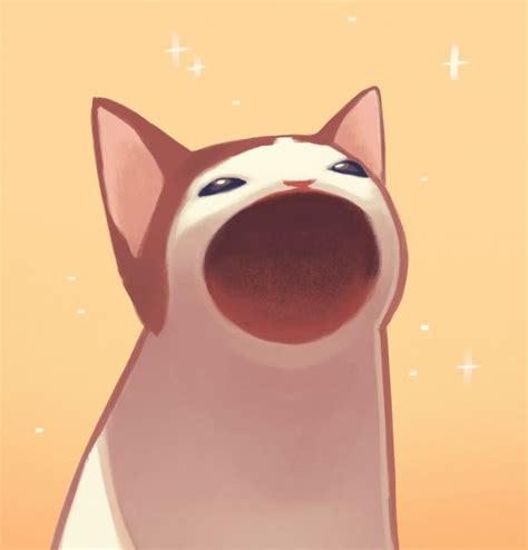 Popcat | Fotos de animais engraçados, Coisas de gato, Gatinho desenho