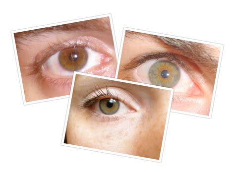 How To Tell If My Eyes Are Hazel at William Gainey blog