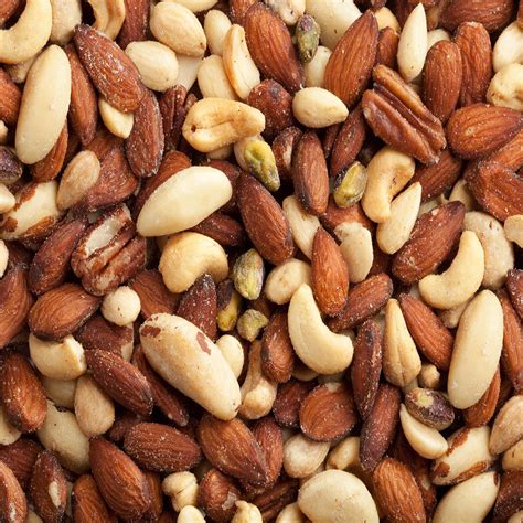 kinds  tree nuts design talk