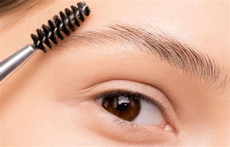 lash brow enhancements