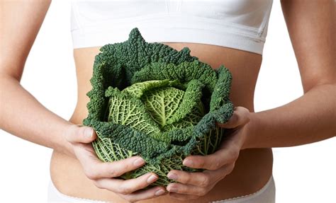 gut health  weight lossthe leaf nutrisystem blog