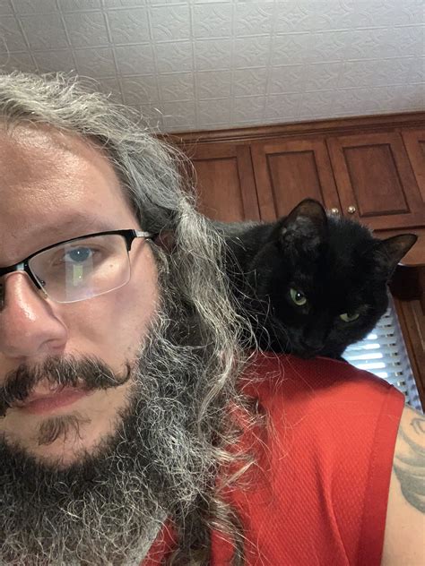 Darcy the Mail Cat (@darcythemailcat) / Twitter