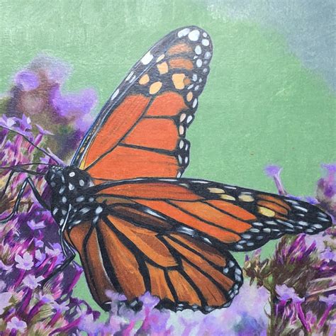 Butterfly I drew for my mom for Christmas, 10”x10”, coloured pencil : r