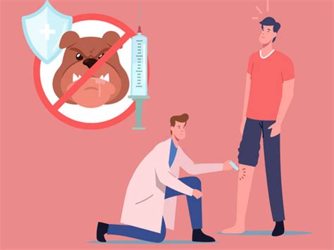 how to treat dog bites