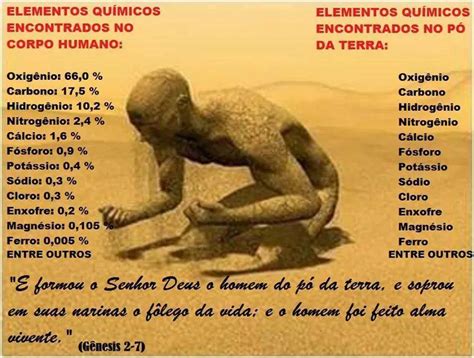 Pó Muito Fino Que Se Desprende Da Terra - BIBLIA CURIOSA: ANALISE DOS COMPOSTOS ORGANICOS DO HOMEM E O PÓ DA TERRA