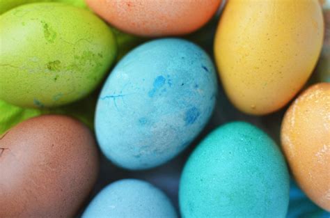 Assorted-colored Eggs · Free Stock Photo