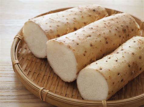 what climate and growing conditions do yams require 5
