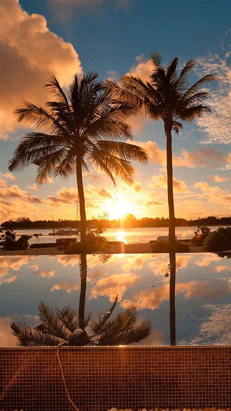 Anonib Hawaii: A Paradise Lost? The Shocking Truth. - atg9v46