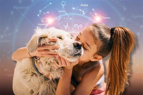 Oroscopo, questi 3 segni zodiacali amano gli animali più di ogni altra ...