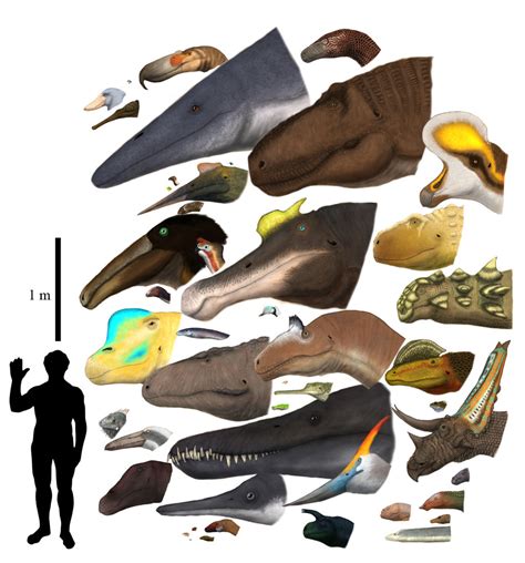 diapsids  size comparison  dragonthunders  deviantart