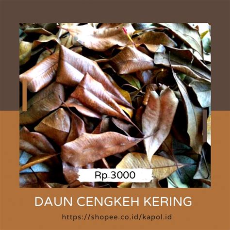 Jual daun cengkeh kering | Shopee Indonesia