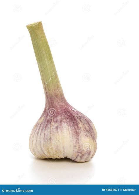 Knoblauch stockbild. Bild von frisch, getrennt, geschmack - 45682671