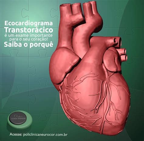Como É Feito O Exame Ecocardiografia Transtorácica - Ecocardiograma Transtorácico é um exame importante para o seu coração ...