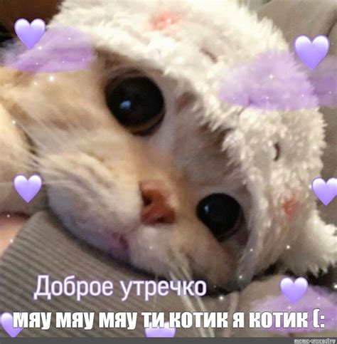 Создать мем "кошки милые, милые котики, милые пикчи с котами доброе ...