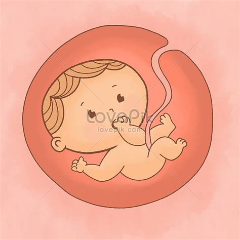 baby  images hd pictures   vectors  lovepikcom