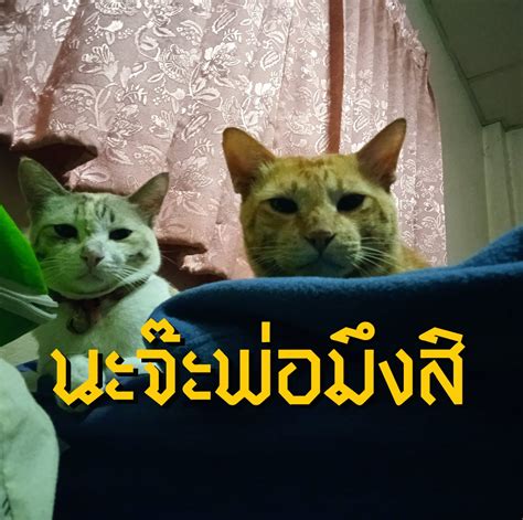 news covid  konami