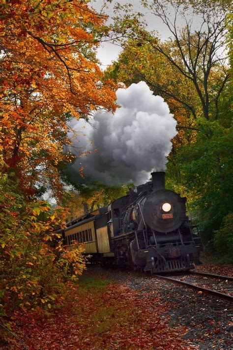Classic Woodie: Photo