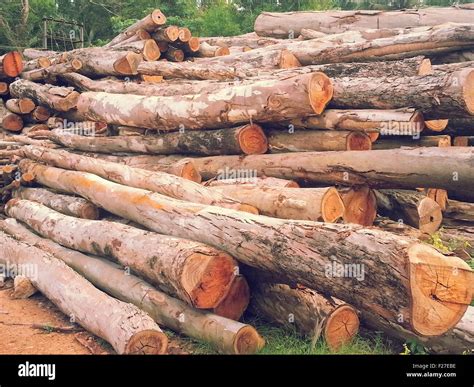 wooden logs  res stock photography  images alamy