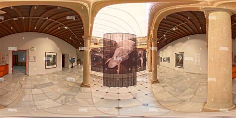 360° view of 360 report of Isabel Muñoz's exhibition, entitled WATER