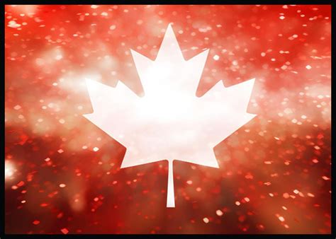 Canadian Superstars Sign Open Letter Against Anti-Trans Legislation
