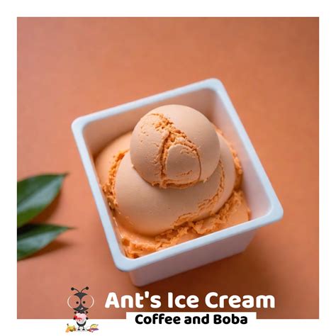 Thai Tea Ice Cream – Ant's Ice Cream