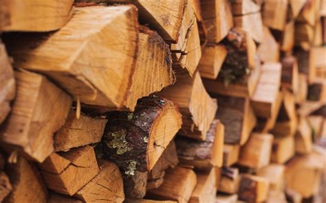 Meriden, CT | Seasoned Firewood | Firewood for Sale & Delivery Near Me