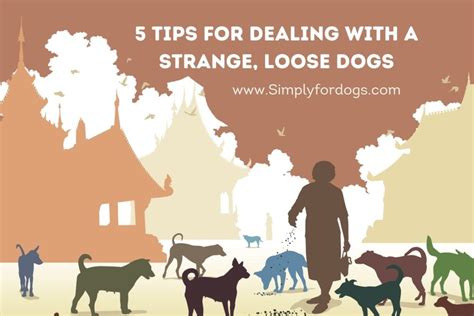 Tips For Dealing With A Strange Loose Dog - (Helpful Tips)