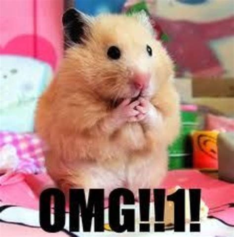 OMG! This Katee Owen GIF Is Hilarious  You Have To See It! Image 17