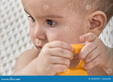 Roseola Rash a Viral Rash on the Skin of a Child Stock Image - Image of ...