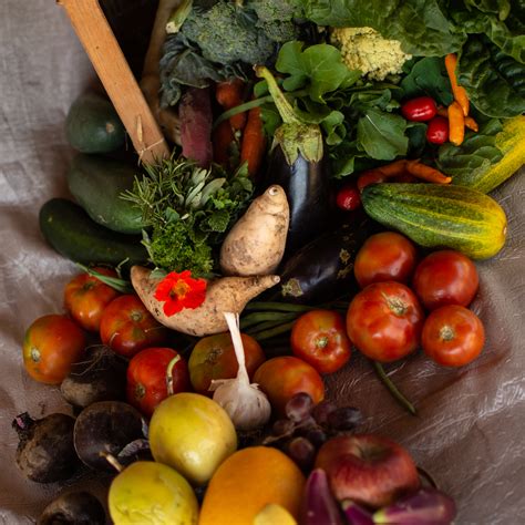 Seasonal Veggie Basket, Basic - Ecolodgy Permaculture Centre