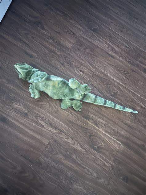 TW Pornstars - 2 pic. Laura Lux 🦖🪐. Twitter. yesterday when we were