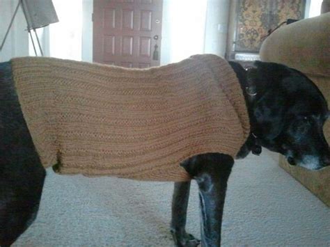 knitted  sweater   black labrador retriever  arent  big dog sweaters