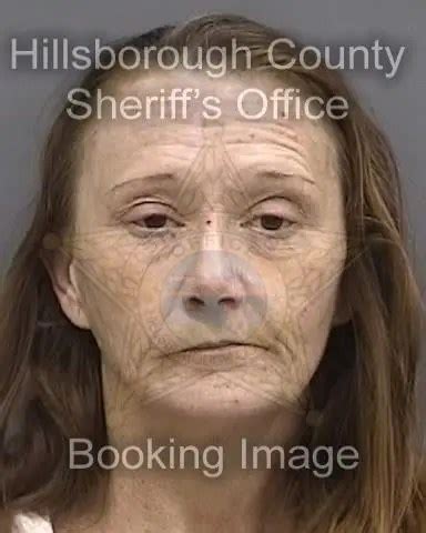 Nearly 50 new... - Tampa Bay Mugshots - Hillsborough
