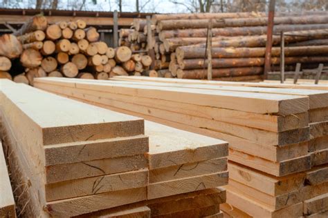 buy    timber  sale   timber connect  timber