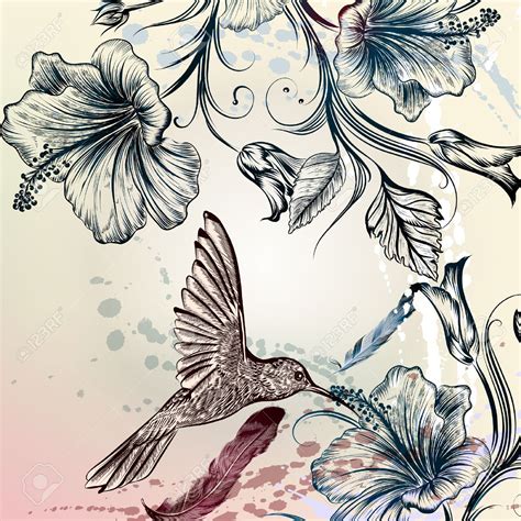 Hummingbird Flower Drawing at GetDrawings | Free download