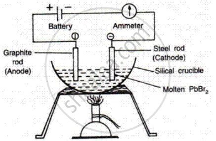 Explain Electrolysis of Lead Bromide. - Chemistry | Shaalaa.com